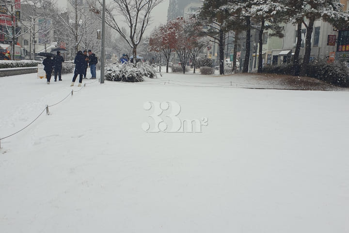 홍대연남동풀옵션 E 8번째 이미지