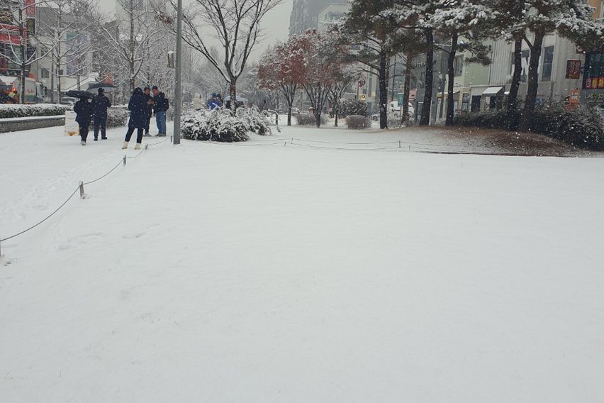 홍대연남동풀옵션 E