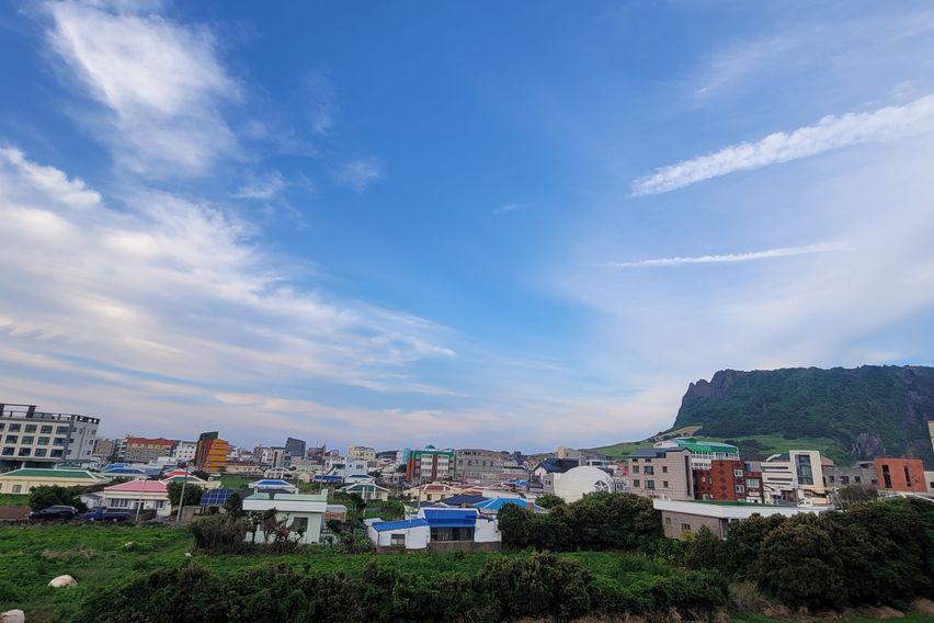 일출봉의대나무친환경 숙