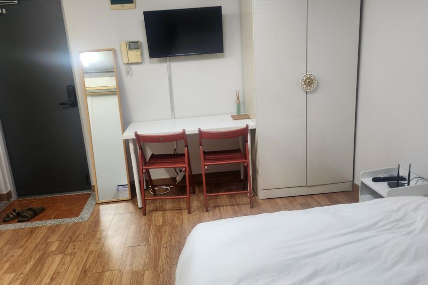 부산갈매기 501 특가