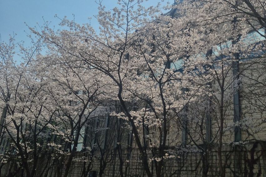 영은테스트장기할인