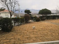 2층 복층형 헤라 16번째 이미지