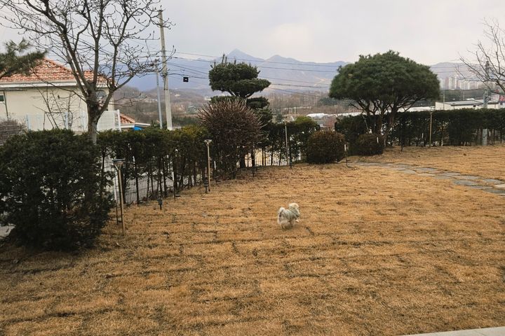 2층 복층형 헤라 16번째 이미지