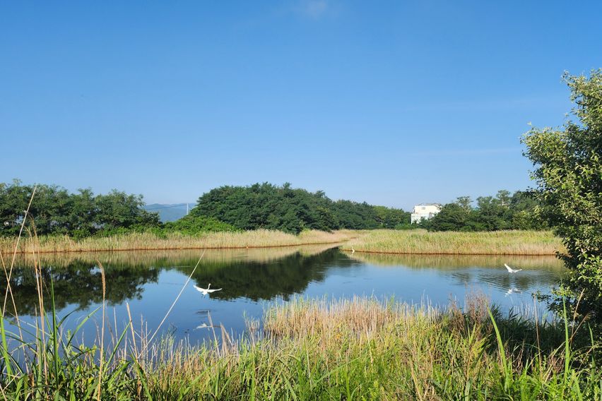 부산 신호동 바닷가뷰 10번째 이미지