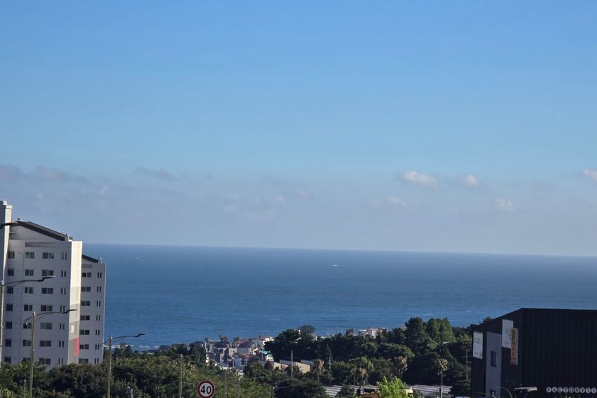 🌈 서귀포17평 애견