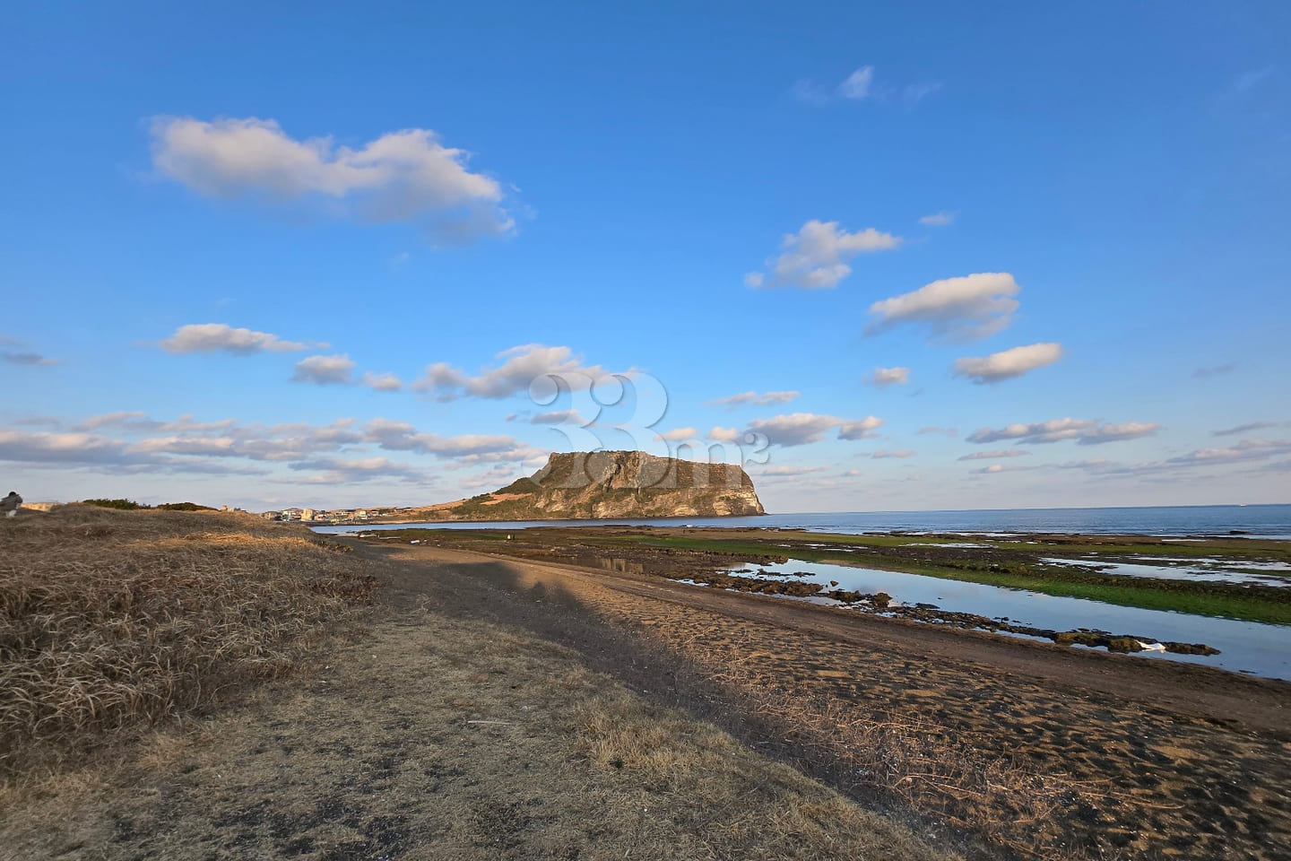 [Jeju] Canola Flowers and Ojo Lake 5th image