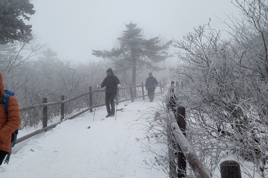 산속도시 도심아파트^