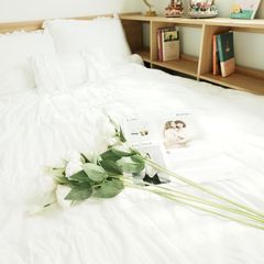 잠실20분강아지환영숙소 방 이미지