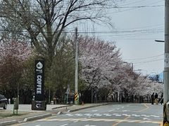 Deokso Neo River City 0th image