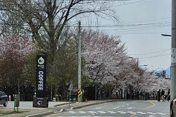 Deokso Neo River City