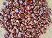 한옥독채(방3개) 8번째 이미지
