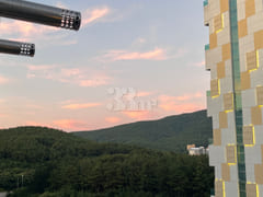 Yeongjongdo Terrace, Pets Allowed 18th image