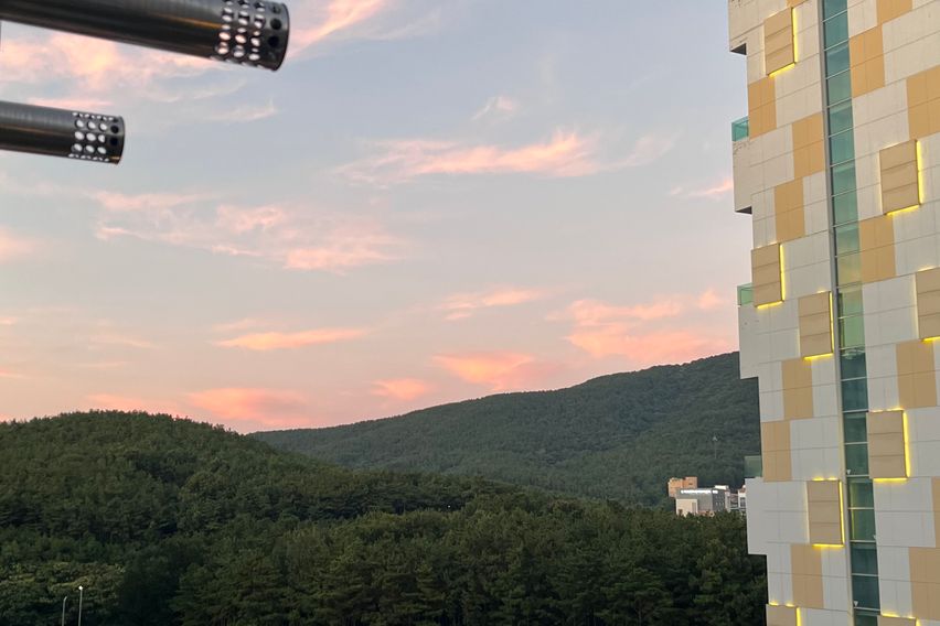 영종도테라스애완동반가능