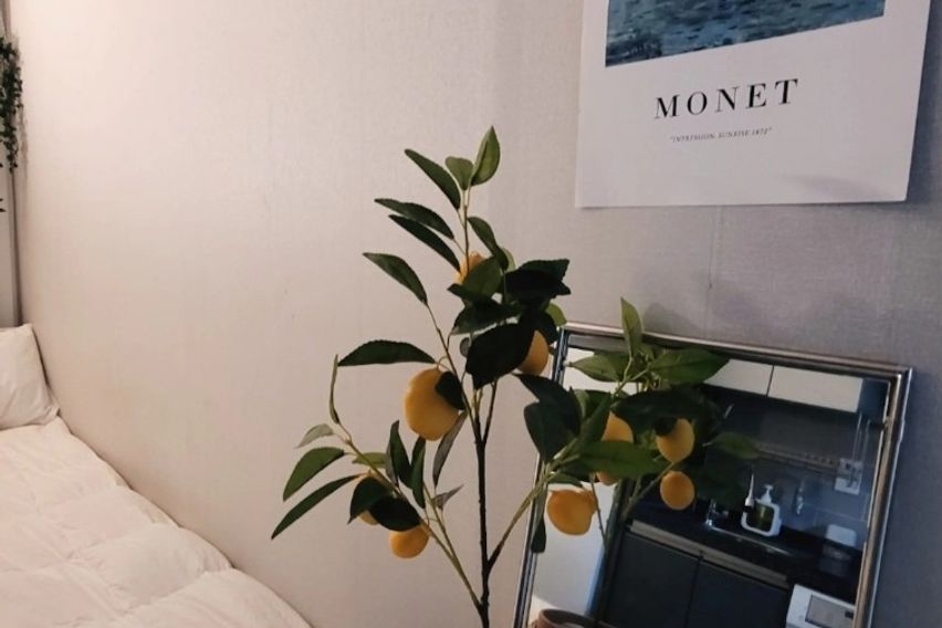 안락하고 깨끗한