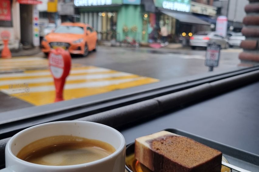 강남,서초,양재천 벚꽃