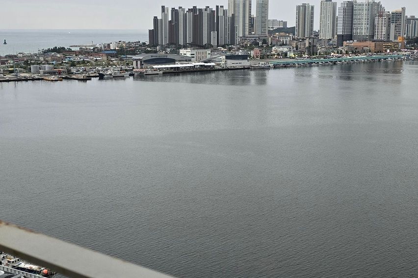 청초호뷰,중앙시장5분