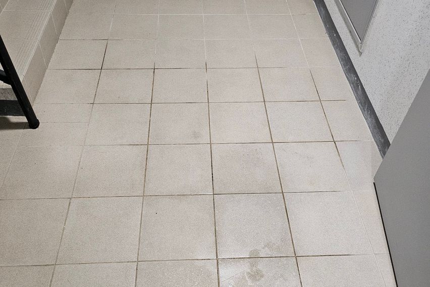 브리브리테스트