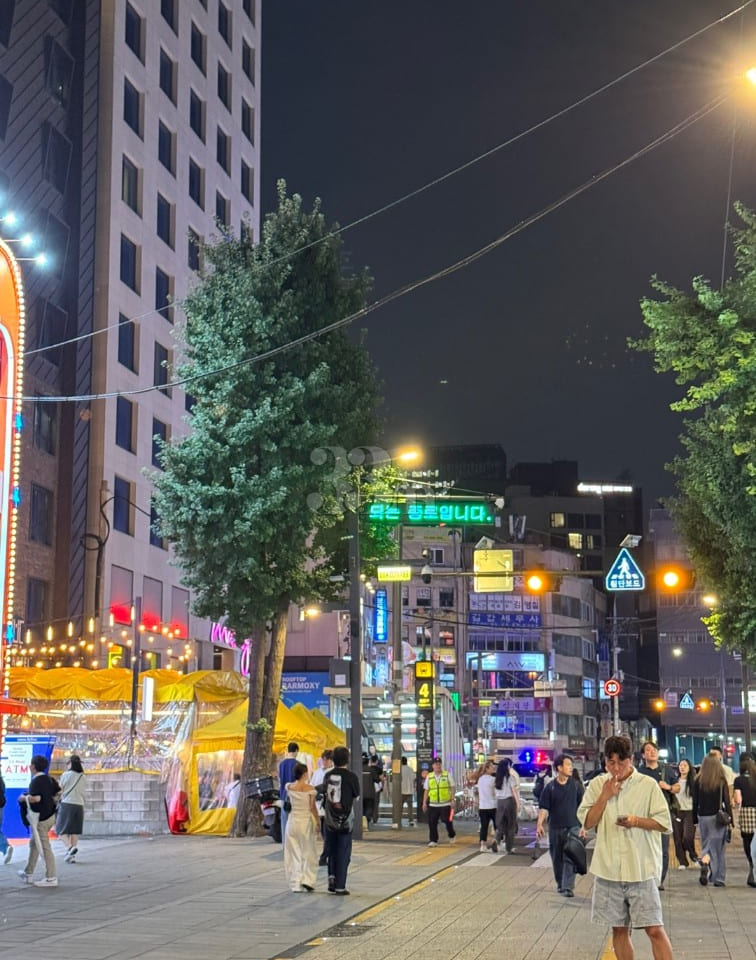 Jongno 3-ga/Ikseon-dong/Gyeongbokgung Palace 14th image
