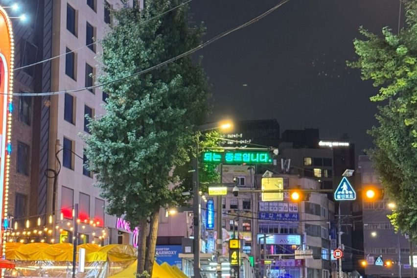 종로3가/익선동/경복궁 15번째 이미지