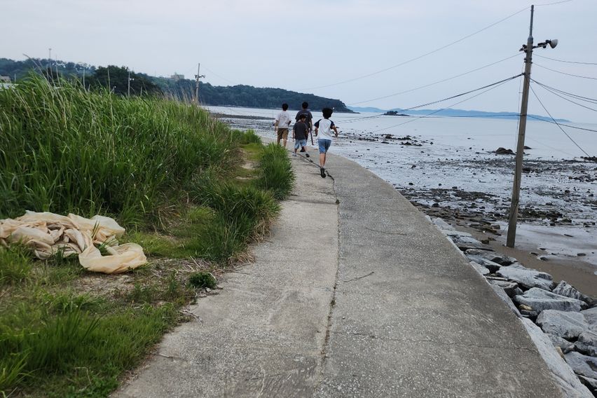 강화도. 펜션 시그너스