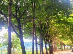 강이 보이는 조용한 곳 14번째 이미지