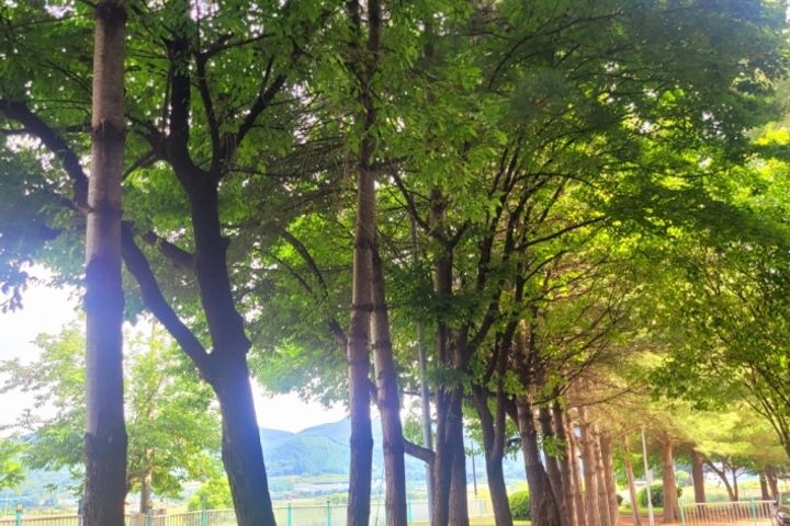 강이 보이는 조용한 곳 14번째 이미지
