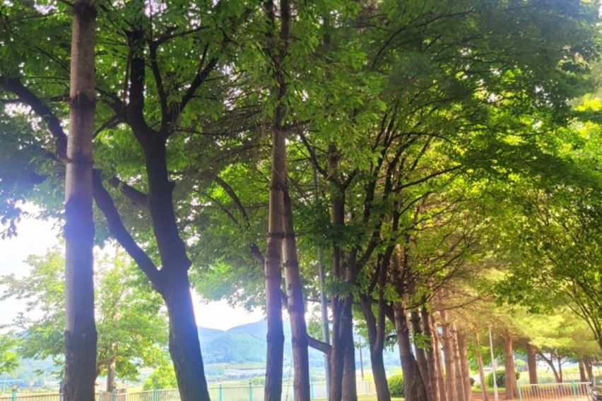 강이 보이는 조용한 곳