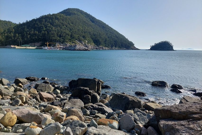 청산도 락 한옥 난초