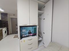 건너면 둔산동🍀 12번째 이미지