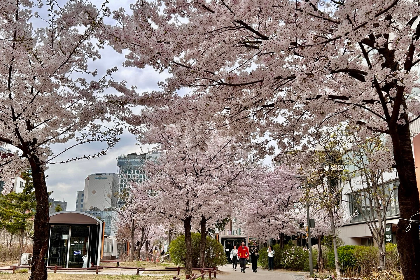 1 minute from Hongik Univ. Station; prime loc 15th image
