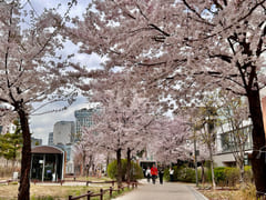 1 minute from Hongik Univ. Station; prime loc 15th image