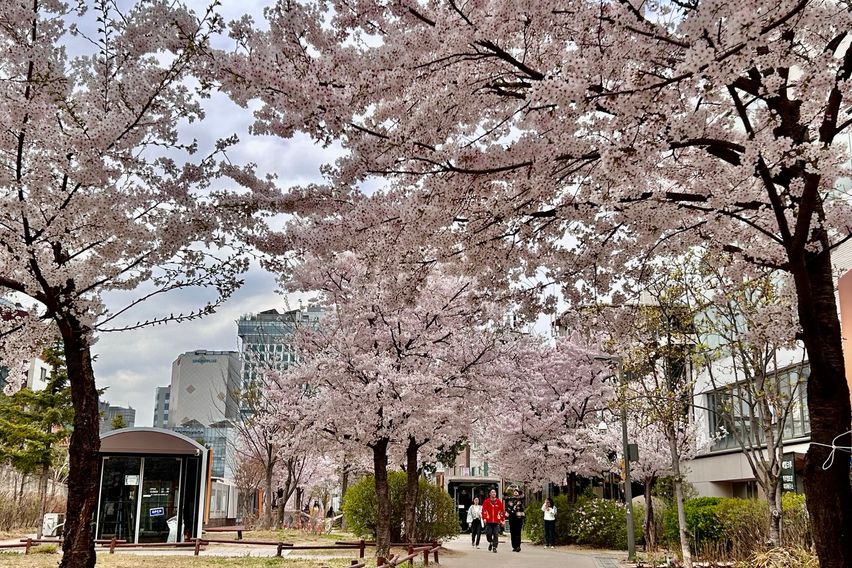 홍대입구역 1분.초역세 15번째 이미지