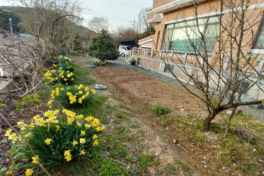 독특한 개성 숙소 오천