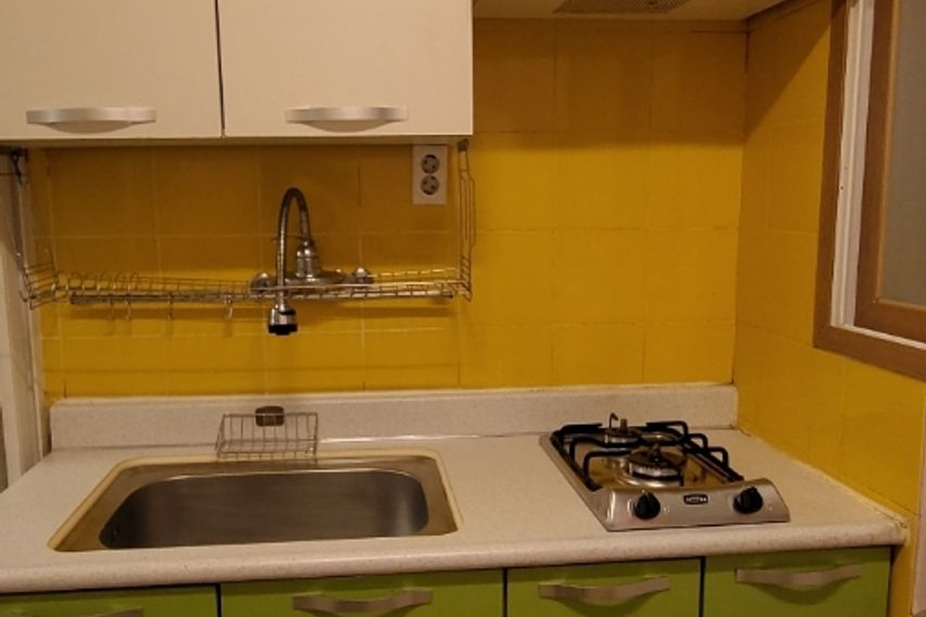 🌳계대룸룸🌸