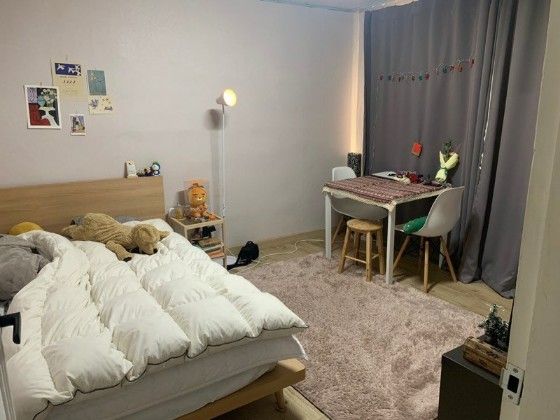 2층투룸 🐶반려동물가능 0번째 이미지