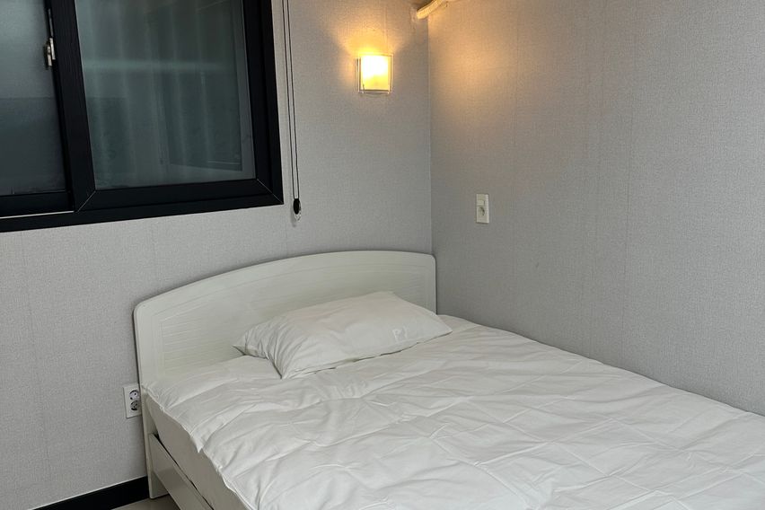 하버드303(신규특가) 2번째 이미지