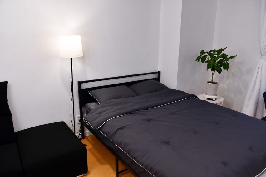 둔산의 중심 히스토리3