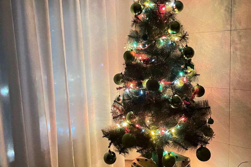 호수담_목포_평화광장