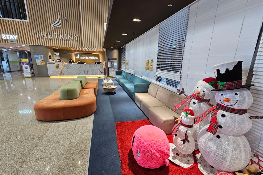 더트리니 Comfort 17번째 이미지