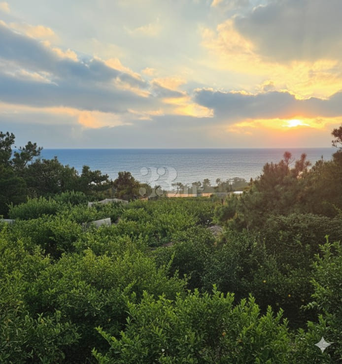 Seogwipo Ocean-View Private Vacation Rental 17th image