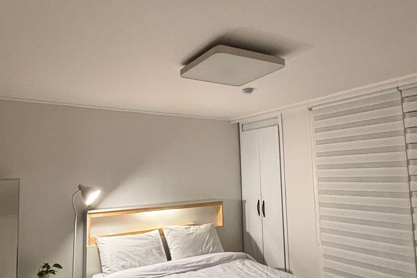 🌱초록이와 함께 잠을