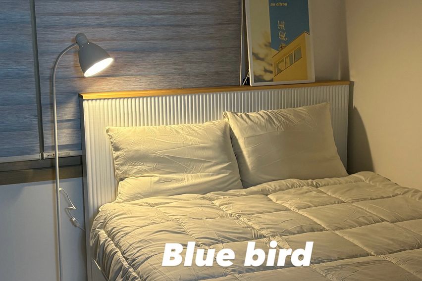 전주대B전주신시가지2 0번째 이미지