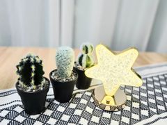 특#영등포구청역4분투룸 2번째 이미지