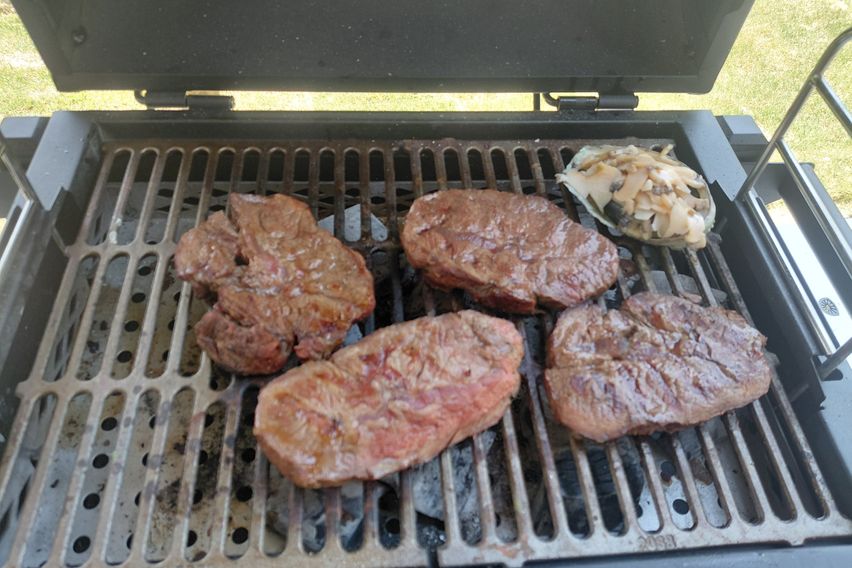 반려동물과 단독으로 9번째 이미지