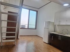 Spacious and pleasant duplex studio 0th image