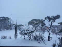 고창힐링하우스   19번째 이미지