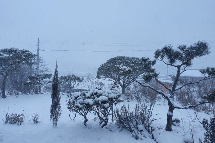고창힐링하우스   19번째 이미지