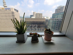 Gyeongbokgung Station (studio apartment) 2-mi 5th image