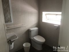 VVIP Duplex Rooftop 501 13th image