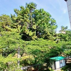 33부산 외대숙소 남산 방 이미지